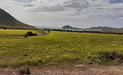ASHAL reclama medidas urgentes para ordenar la vivienda turística y garantizar la viabilidad del sector hostelero en Níjar